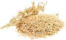 Marshmallow Root